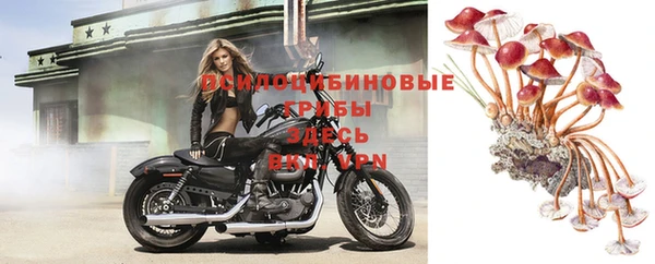 хмурый Алексеевка