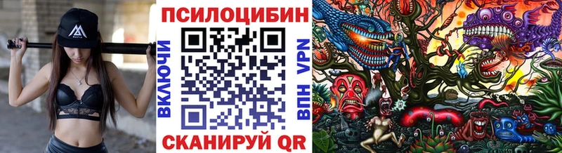 Псилоцибиновые грибы прущие грибы  магазин  наркотиков  ОМГ ОМГ зеркало  Абдулино 